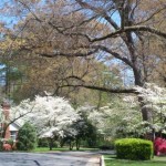 up-28U5CEK47GUARS30-150x150